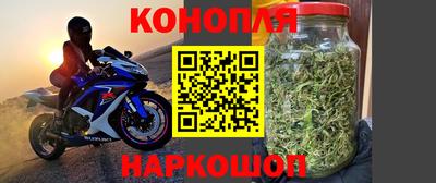 сатива Лесосибирск